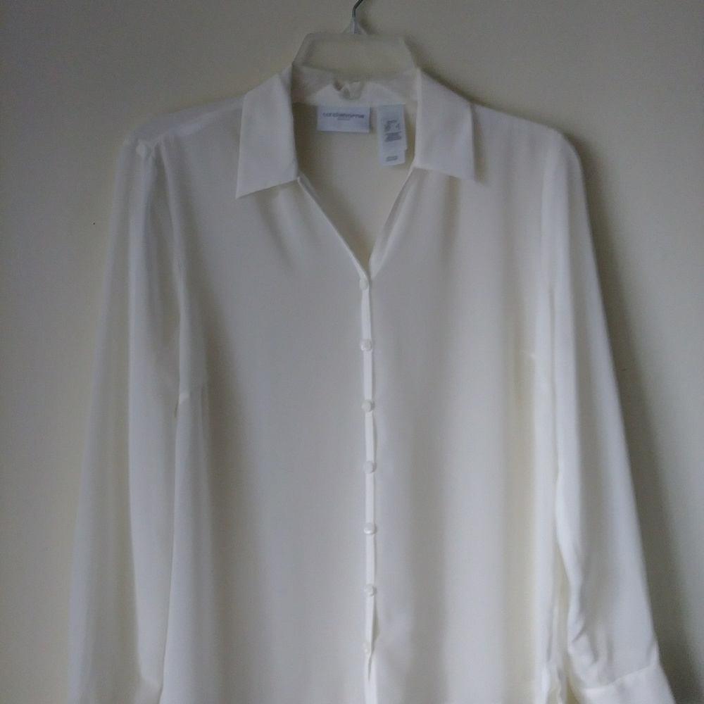 Liz Claiborne Petite Sheer Button Down Blouse